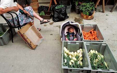 Outdoor organic farmers market Orange County, Massachusetts