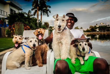 Dogs with owner - West Coast Florida